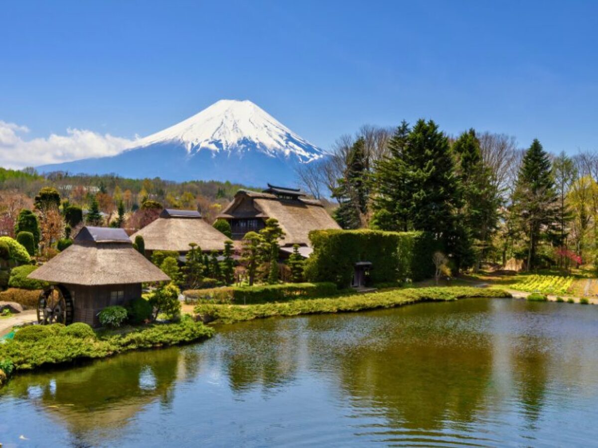 Tokyo Oshino Hakkai, Mt. Fuji